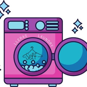 Wash Pro